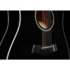 Taylor 250ce-BLK Plus