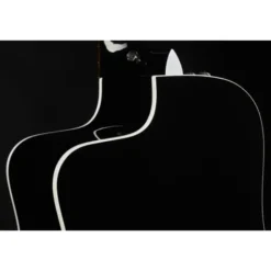 Taylor 250ce-BLK Plus