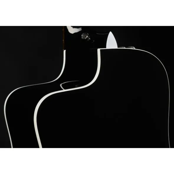 Taylor 250ce-BLK Plus
