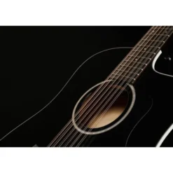 Taylor 250ce-BLK Plus