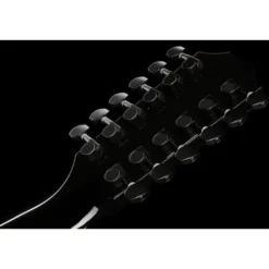 Taylor 250ce-BLK Plus