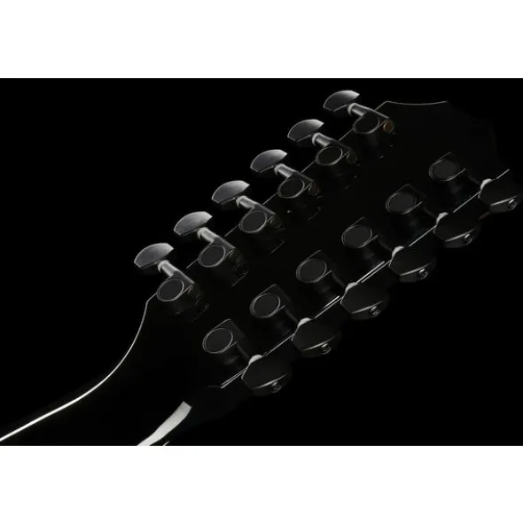 Taylor 250ce-BLK Plus