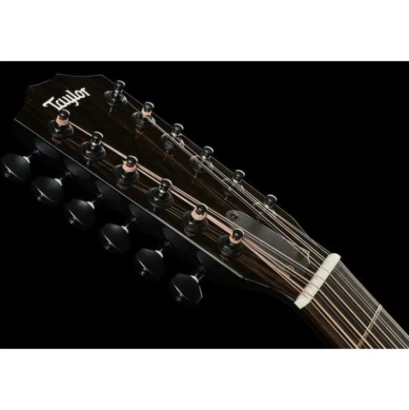 Taylor 250ce-BLK Plus