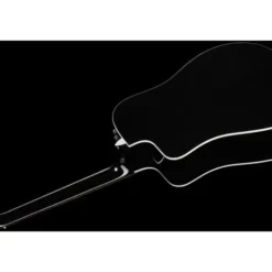 Taylor 250ce-BLK Plus