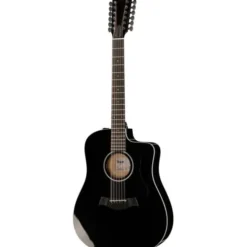 Taylor 250ce-BLK Plus
