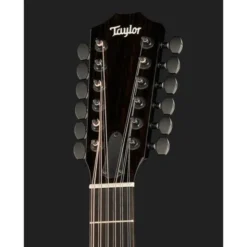 Taylor 250ce-BLK Plus