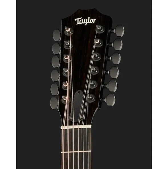 Taylor 250ce-BLK Plus