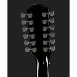 Taylor 250ce-BLK Plus