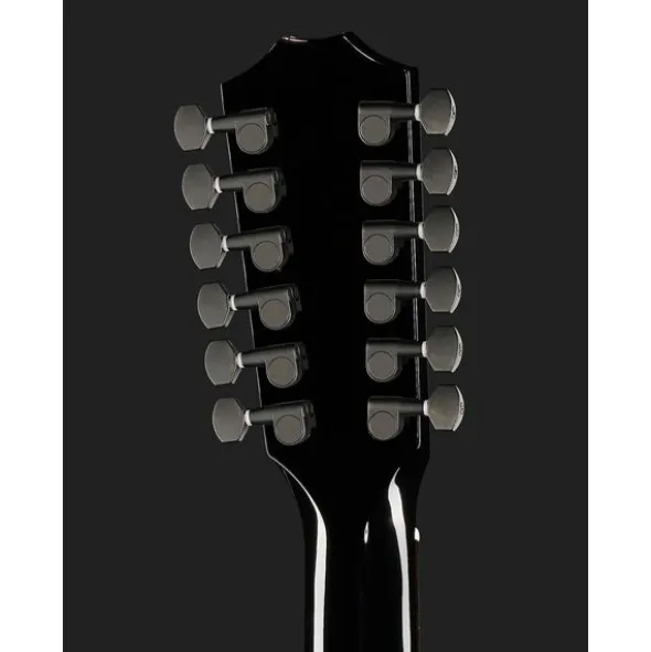 Taylor 250ce-BLK Plus