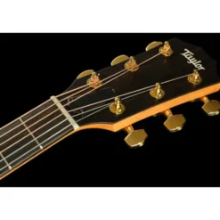 Taylor 222ce-K DLX