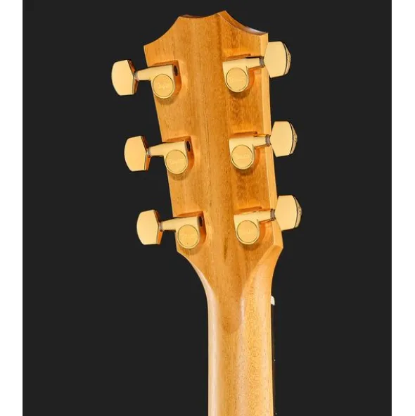 Taylor 222ce-K DLX