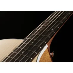 Taylor 214ce Koa