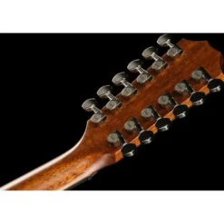 Taylor 454ce Next Generation