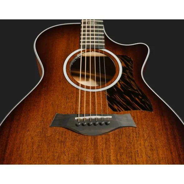 Taylor 322ce Next Generation