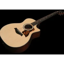 Taylor 414ce Next Generation Natural
