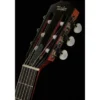 Taylor 312ce-N Nylon