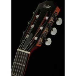 Taylor 312ce-N Nylon