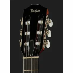 Taylor 312ce-N Nylon