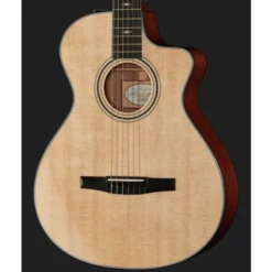 Taylor 312ce-N Nylon