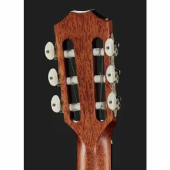Taylor 312ce-N Nylon