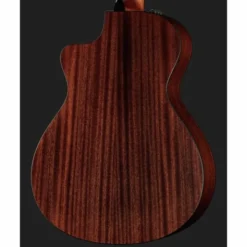Taylor 312ce-N Nylon