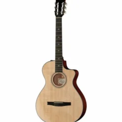 Taylor 312ce-N Nylon