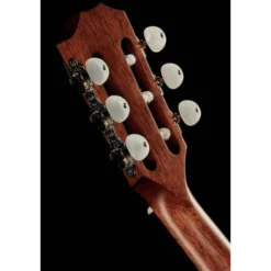 Taylor 312ce-N Nylon