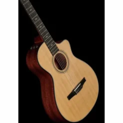 Taylor 312ce-N Nylon