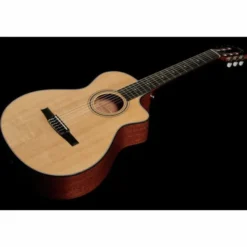 Taylor 312ce-N Nylon