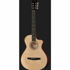 Taylor 312ce-N Nylon