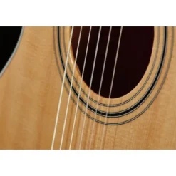 Taylor 312ce-N Nylon