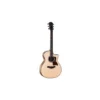 Taylor 814ce SE Sassafras Next Gen