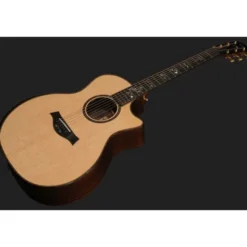 Taylor 914ce Special Edition