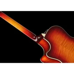 Taylor Custom #18: C14ce B5018