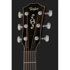 Taylor Custom #18: C14ce B5018