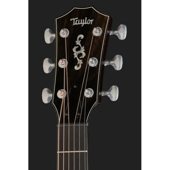 Taylor Custom #18: C14ce B5018