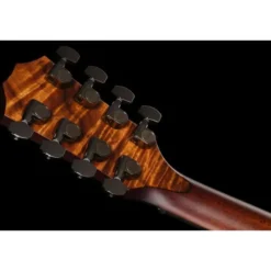 Taylor Custom #44: C24ce 8-String Bar