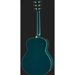 Taylor Custom #33: C18e B5033