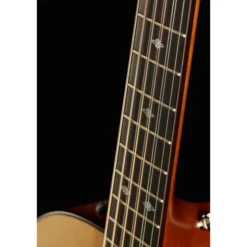 Taylor Custom GA-9