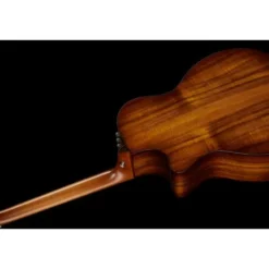 Taylor Custom GA-9