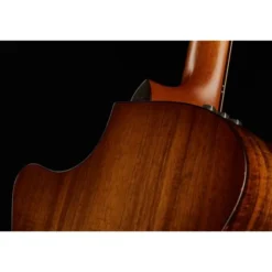 Taylor Custom GA-9