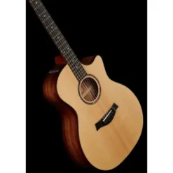 Taylor Custom GA-9