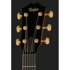 Taylor Custom #7: Horizons