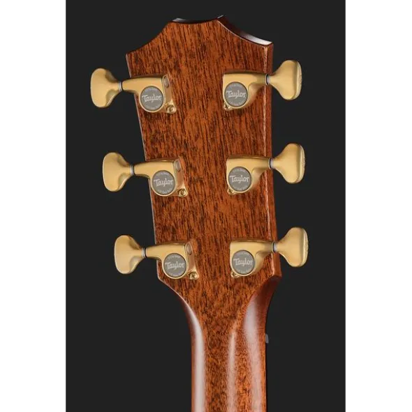 Taylor Custom #7: Horizons