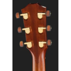 Taylor Custom #36: The Bengal