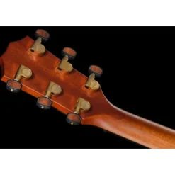 Taylor Custom #36: The Bengal