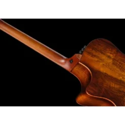 Taylor Custom #36: The Bengal
