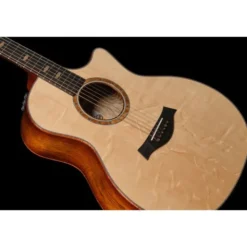 Taylor Custom #36: The Bengal