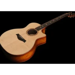 Taylor Custom #36: The Bengal