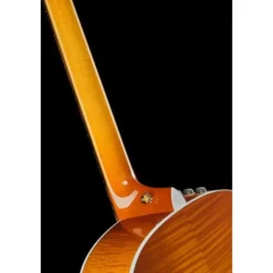 Taylor 217e Plus Special Edition HB